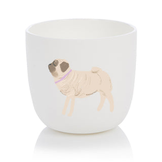 Taza para perros Mops