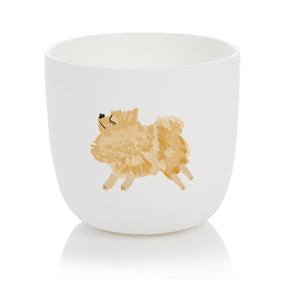 Pomeranian Cup